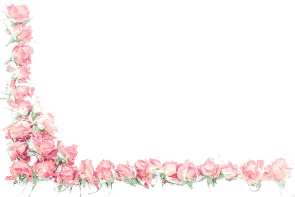 Witte achtergrond met frame van delicate rozen — Stockfoto