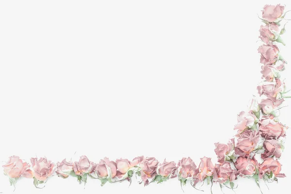 Voorjaarsbloesem of zomer bloeiende roos, toned, bokeh bloem achtergrond, pastel en zachte bloemen kaart — Stockfoto