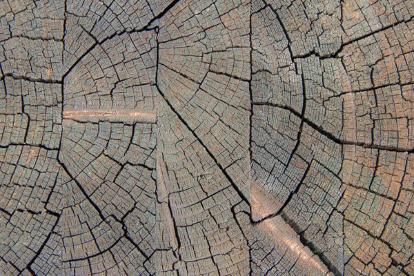 Natural organic texture with cracked and rough surface. Flat wooden surface with annual rings. — Stock Photo, Image