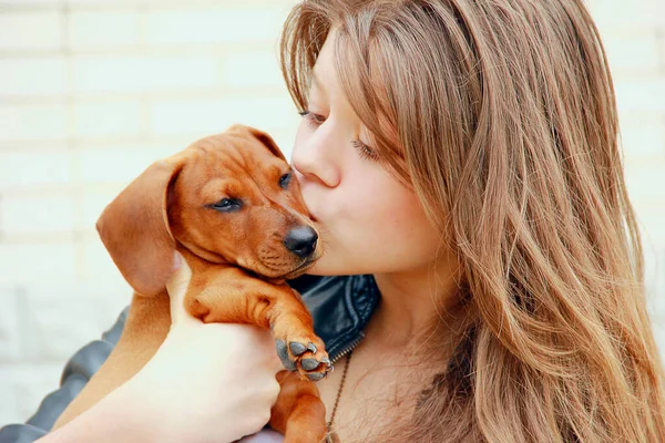 Red-haired girl holding a red-haired dachshund puppy in her arms, kissing him Stock Photo