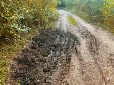 Kırsal köy yolu yağmur sonrası orman kuşağından geçer. Yol dışı, geçilemez, vahşi doğa ve seyahat konsepti.