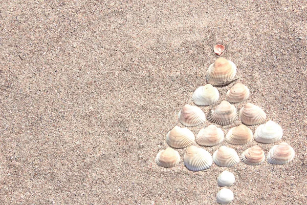 Árvore de Natal feita de conchas na areia amarela seca. Conceito de Ano Novo do Hemisfério Sul — Fotografia de Stock