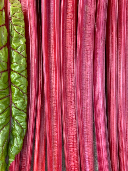 Varios tallos de acelga de color rojo brillante se apilan uno cerca del otro, a través de una hoja de acelga suiza verde joven. Contexto — Foto de Stock