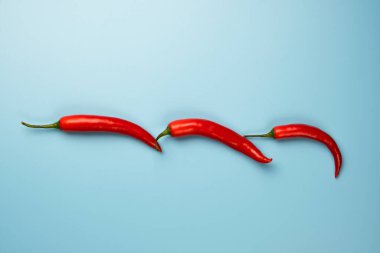Kırmızı biberler mavi arkaplanda izole edilmiş..