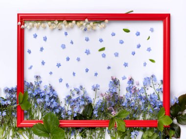 Beyaz zemin üzerinde küçük menekşe çiçekleri ve yeşil yapraklar ile kırmızı ahşap çerçeve düz görünüm yatıyordu.