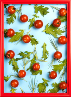 Mavi arka planda kırmızı kiraz domatesleri ve yeşil roka salatası yaprakları.