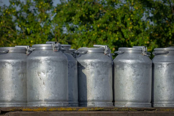 Latas Para Coleta Leite Ficar Contra Jardim Maçã — Fotografia de Stock