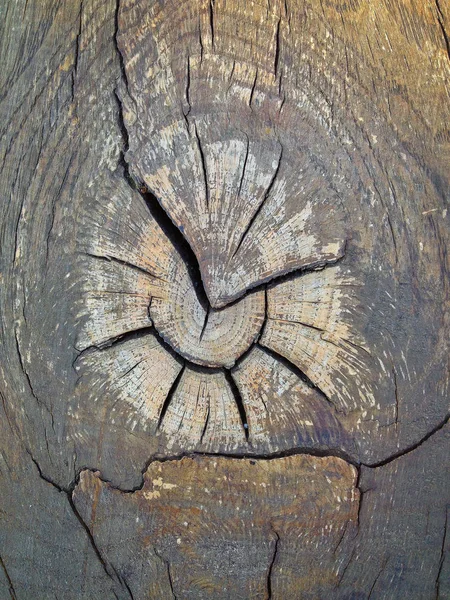 Pęknięty Tekstury Drewna Strzał Zbliżenie — Zdjęcie stockowe