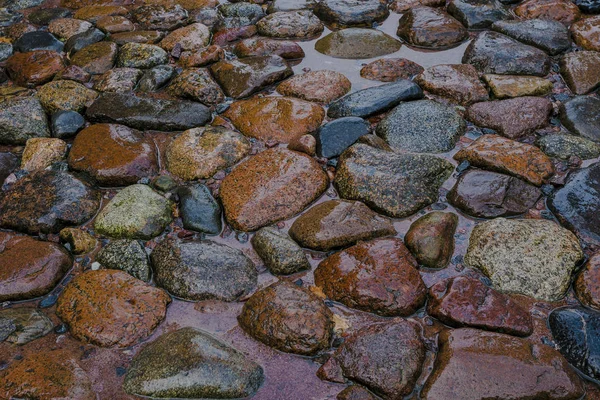 Pavimento de una gran piedra salvaje — Foto de Stock
