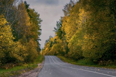 Boş sonbahar asfalt yolu Gri bulutlu bir günde filme alındı