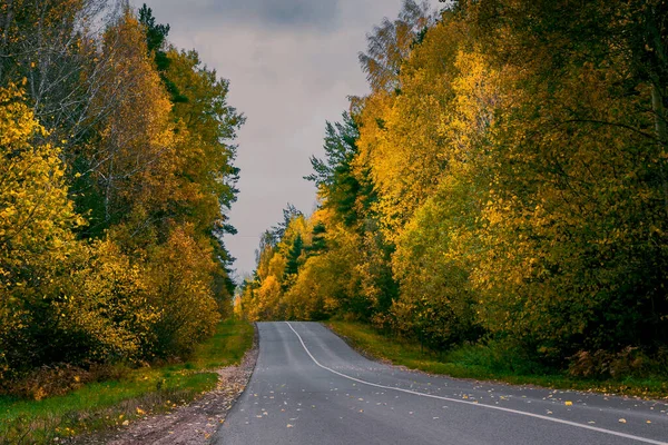 空の秋のアスファルトの道路は灰色の曇りの日に撮影 ロイヤリティフリーのストック画像