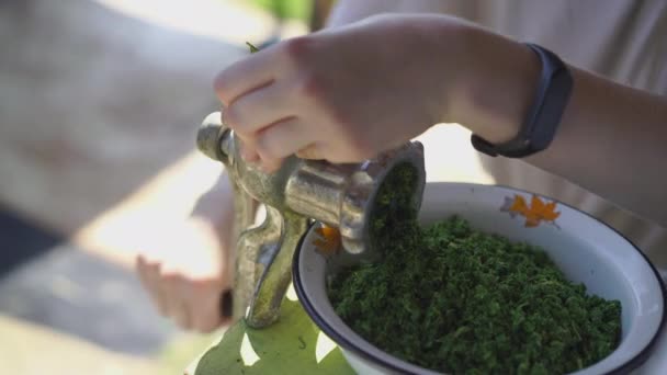 Teafőzés, fűzfűszernövény, kézi munka, közelkép készítése — Stock videók