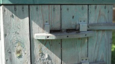 Güneşli bir günde arılarla birlikte eski mavi ahşap kovana yakın çekim