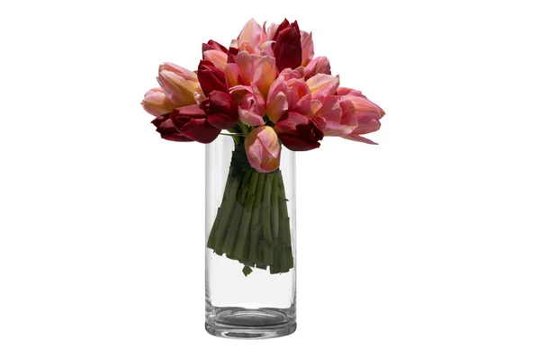 玻璃花瓶 花束透明背景 — 图库照片
