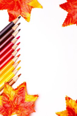 çok renkli ahşap kalemler beyaz izole bir zemin üzerinde kırmızı gölgeler ve turuncu sonbahar yaprakları
