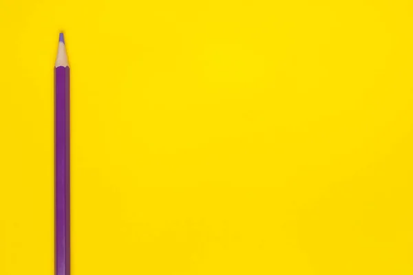 Vertikaler lila scharfer Holzstift auf leuchtend gelbem Hintergrund, isoliert, Kopierraum, Attrappe — Stockfoto