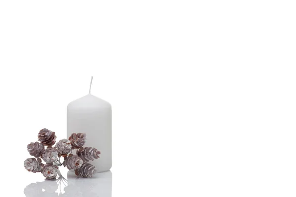 Vit unlit ljus och snötäckt gren med kottar på en vit bakgrund, isolerad, jul dekoration — Stockfoto