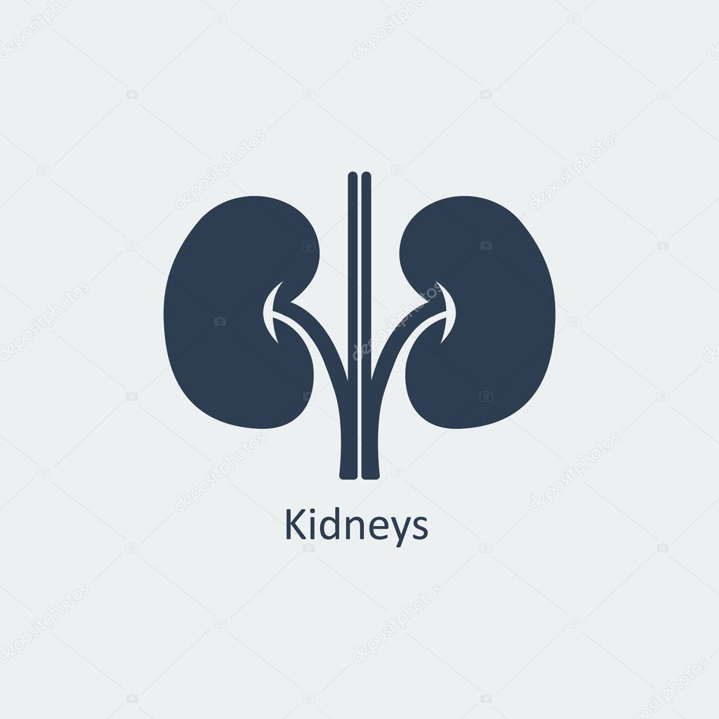 Kidneys Icon. Vector illustration