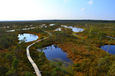 Büyük bataklık sulak Kemeri Milli Parkı, Latvia.Travel kavramı