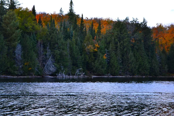 Parc provincial Algonquin, Ontario, Canada. Beau paysage d'automne avec lac et montagnes — Photo