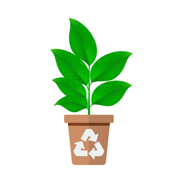 Planta verde con icono de maceta. Diseño plano. Ilustración vectorial — Vector de stock