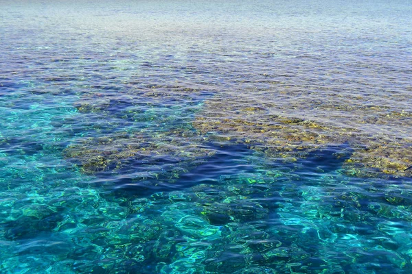 Röda havet. Egypt.The korallrev i Röda havet — Stockfoto