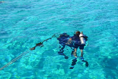 Sharm el Sheikh, Mısır, 6 Şubat 2019 - güzel dalgıçlar, Kızıldeniz hazırlamak için dalış