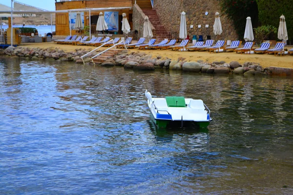 Heron on on a boat on the Naama 'ama Bay beach, Sharm El Sheikh, Egypt, January 6, 2019 — стоковое фото