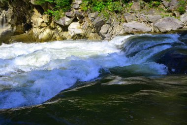 Karpat Dağları taşları arasında hızlı nehir akıyor. Renkli manzara nehir, orman ve dağlar. Ukrayna 