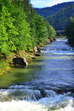 Karpat Dağları taşları arasında hızlı nehir akıyor. Renkli manzara nehir, orman ve dağlar. Ukrayna 