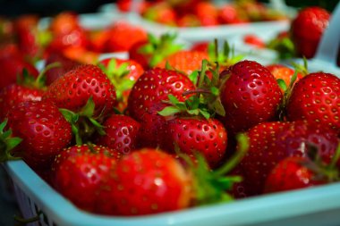 Taze bir sepet içinde olgun sulu çilek aldı 