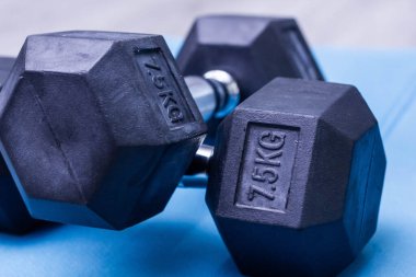 Parke döşemeli bir spor salonunda mavi paspasın üzerinde siyah lastik halterler.