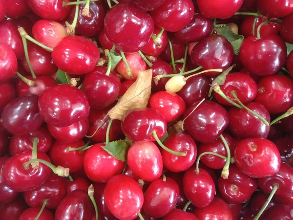 Red Cherries Basket — Stock Photo, Image