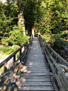 Tahta köprünün merkezli bir görüntüsü. Yeşile açılan bir kapı gibi.