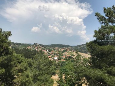 Doğa ve şehir ormanlık alanda vuruldu.