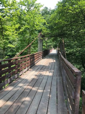 Ormanda tahta köprü saldırısı