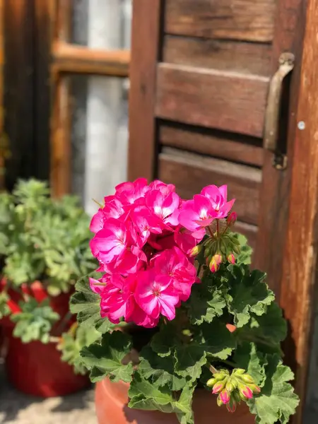 Ένα Ξύλινο Σπίτι Παράθυρο Και Πολύχρωμα Λουλούδια — Φωτογραφία Αρχείου
