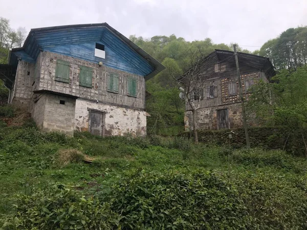 Árboles Una Magnífica Casa Aire Cubierto — Foto de Stock