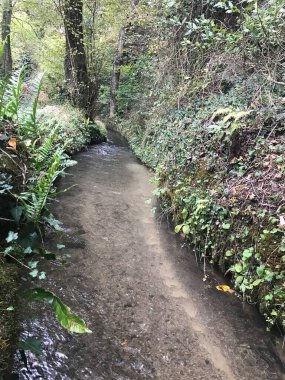 Güzel bir günde küçük bir yataktan akan su.
