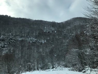 Orman yolu soğuk havada ve kış gününde alınır.