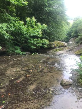 Yolculuk ve temiz bir akış manzarası