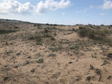 Çorak topraklar güneşli bir günde çekiliyor.