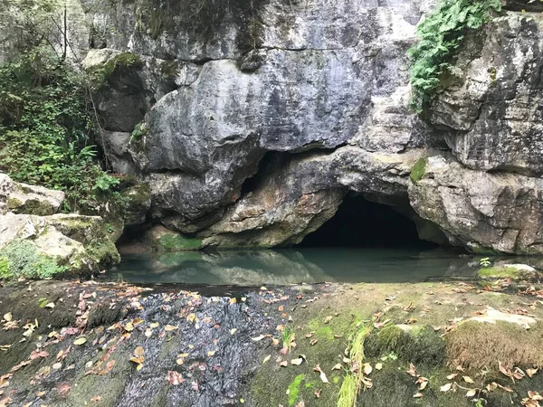 Caverna Tiro Entrada Floresta — Fotografia de Stock