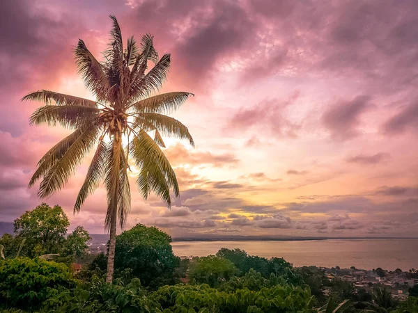 Výstřel Kokosového Stromu Při Čekání Západ Slunce — Stock fotografie