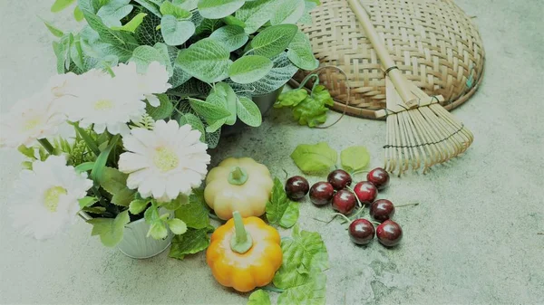 Agricultural products such as leafy greens, pumpkins, cherries with vegetable basket and gardening equipment.