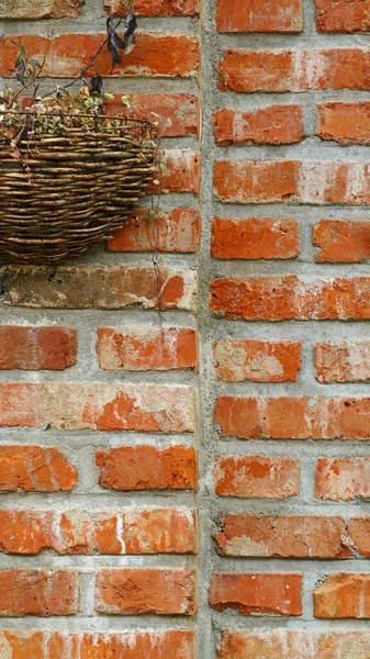 a red brick wall with hanging flowerpots for wall hangings.