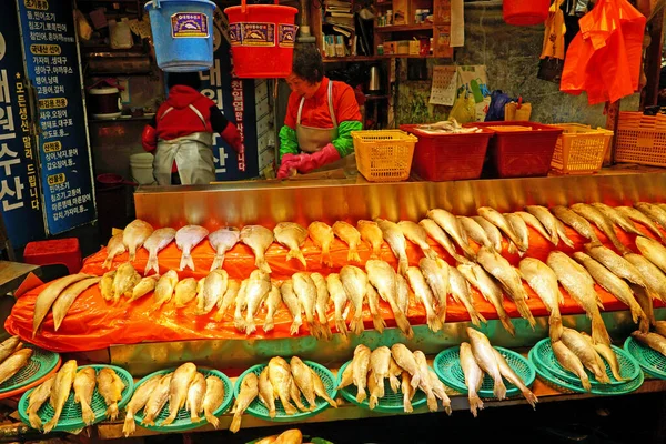 在釜山Bujeon市场 Busan Korea Rpa Rpa 2019一家出售各种海鱼的商店 — 图库照片