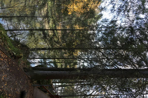 Landschap Rotsen Bossen Herfst Natuur Buiten — Stockfoto