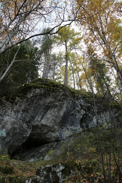 Krajina Skály Les Podzimní Příroda Outdoor — Stock fotografie