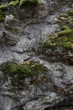 Kayanın dokusu. Kaya yüzeyinin dağ yamacı. Doğal mağara duvarı.